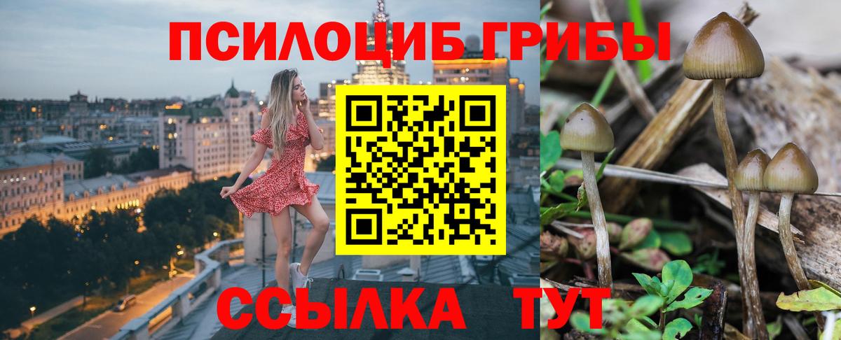 Тихвин  Галлюциногенные грибы мухоморы  купить  сайты  Вход с VPN 